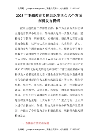 2023年主题教育专题组织生活会六个方面剖析发言提纲