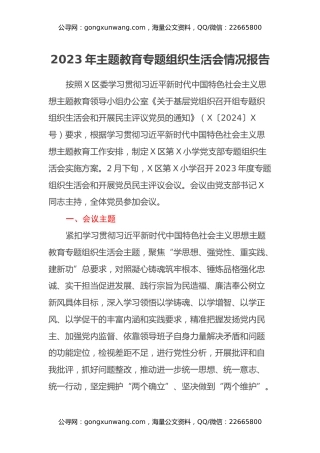 2023年主题教育专题组织生活会情况报告（2）