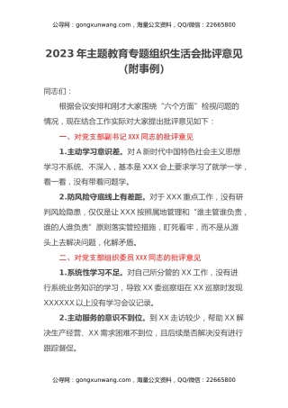 2023年主题教育专题组织生活会批评意见（附事例）