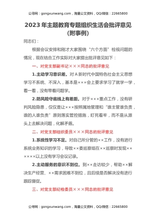 2023年主题教育专题组织生活会批评意见（附事例） (2)