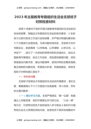 2023年主题教育专题组织生活会支部班子对照检查材料
