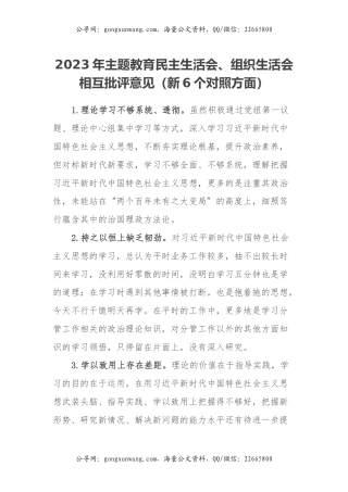 2023年主题教育民主生活会、组织生活会相互批评意见（新6个对照方面）