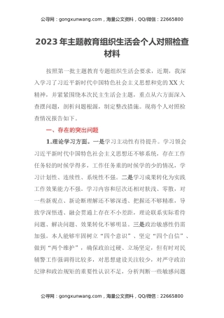 2023年主题教育组织生活会个人对照检查材料（六个方面） (2)