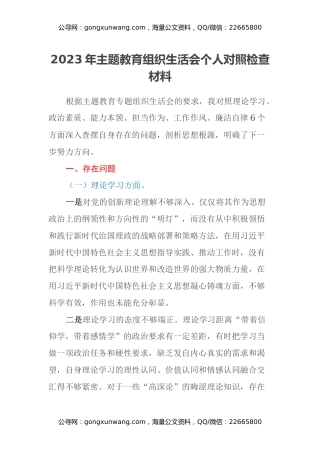 2023年主题教育组织生活会个人对照检查材料（六个方面） (4)