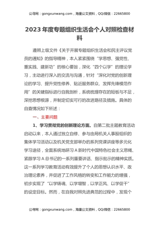 2023年度专题组织生活会个人对照检查材料