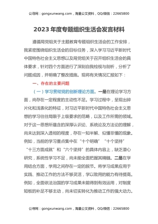 2023年度专题组织生活会发言材料（四个方面）（2）