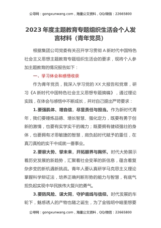 2023年度主题教育专题组织生活会个人发言材料（青年党员）