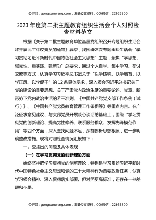 2023年度主题教育第二批组织生活生活会个人对照检查材料（创新理论、党性修养、服务群众、模范作用，发言提纲，检视剖析）