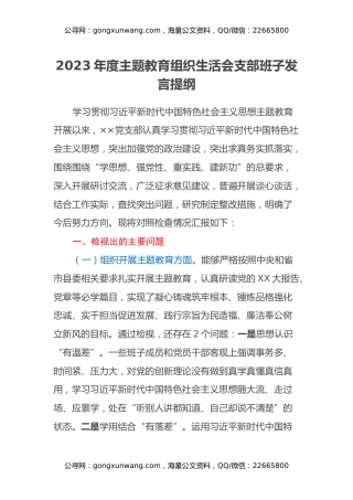 2023年度主题教育组织生活会支部班子发言提纲