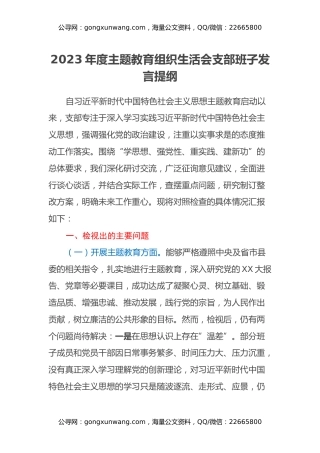 2023年度主题教育组织生活会支部班子发言提纲（六个方面）