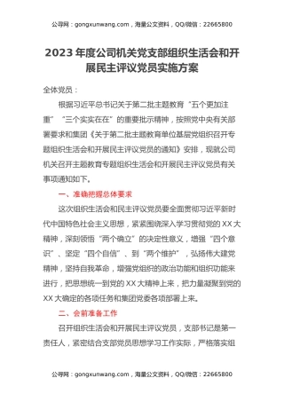 2023年度公司机关党支部组织生活会和开展民主评议党员实施方案