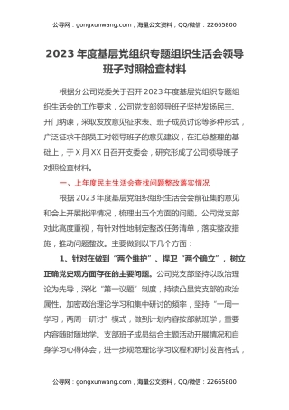 2023年度基层党组织专题组织生活会领导班子对照检查材料（上年度查找问题整改落实情况、五个方面）