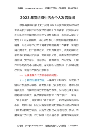 2023年度组织生活会个人发言提纲
