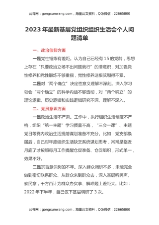 2023年最新基层党组织组织生活会个人问题清单