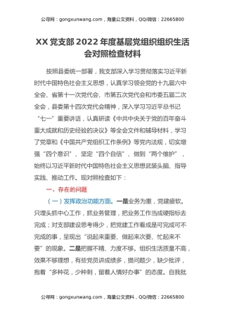 2023年最新最全党支部班子组织生活会对照检查材料和问题清单和整改清单全套