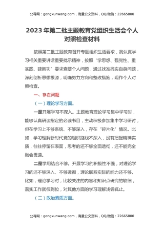 2023年第二批主题教育党组织生活会个人对照检查材料