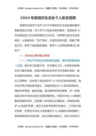 2024 年度组织生活会个人发言提纲