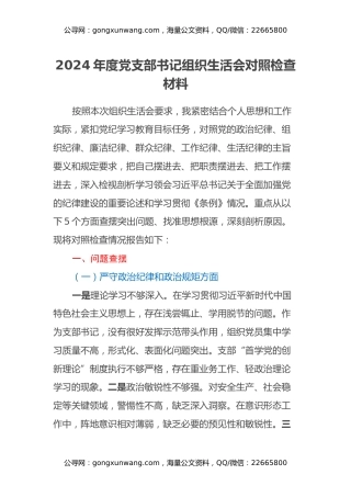 2024年度党支部书记组织生活会对照检查材料