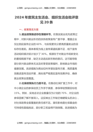 2024年度民主生活会、组织生活会批评意见20条