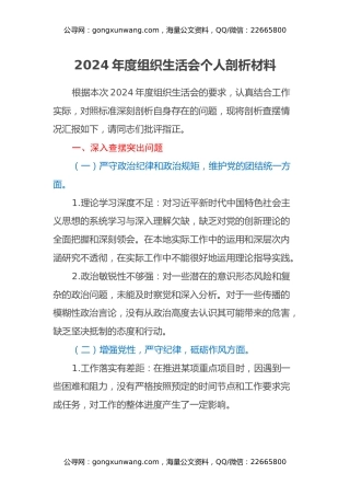 2024年度组织生活会个人剖析材料、个人问题整改清单、谈心谈话“意见清单”
