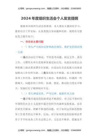 2024年度组织生活会个人发言提纲（3）
