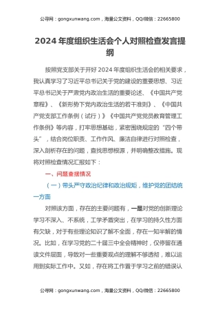 2024年度组织生活会个人对照检查发言提纲