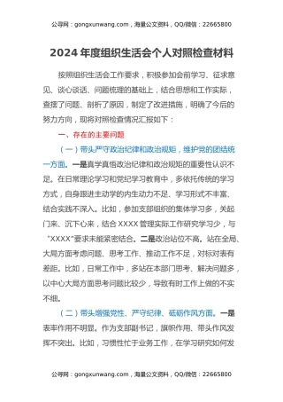 2024年度组织生活会个人对照检查材料（支部副书记）