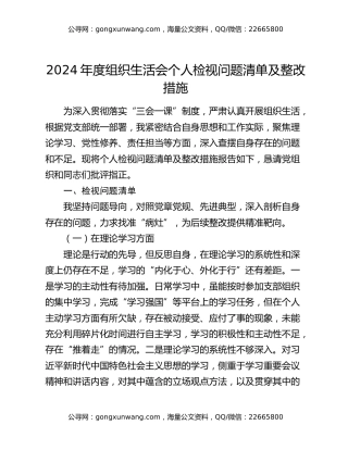 2024年度组织生活会个人检视问题清单及整改措施