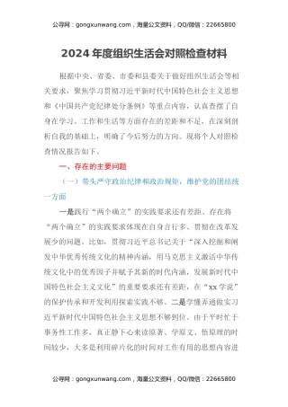 2024年度组织生活会对照检查材料 (3)