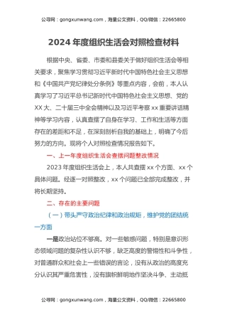 2024年度组织生活会对照检查材料（2）