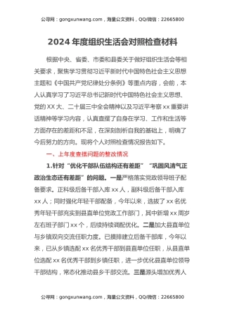 2024年度组织生活会对照检查材料（上年度查摆问题整改情况+对照反面典型案例举一反三剖析）