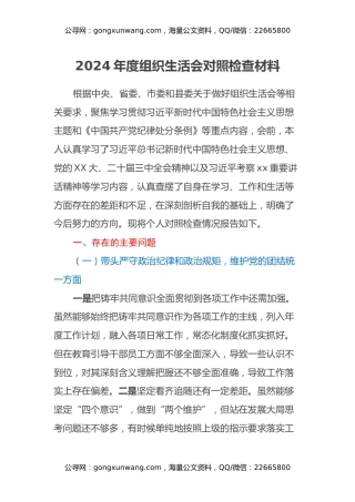 2024年度组织生活会对照检查材料（四个带头+对照反面典型案例举一反三剖析+其他情况说明）