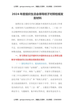 2024年度组织生活会领导班子对照检视发言材料