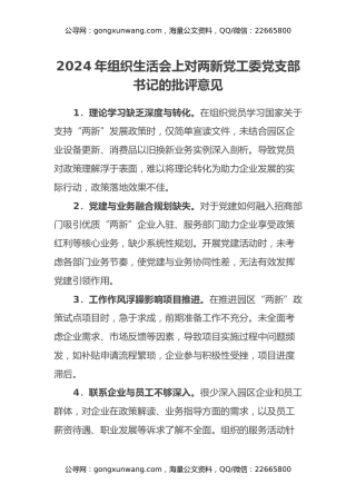 2024年组织生活会上对两新党工委党支部书记的批评意见