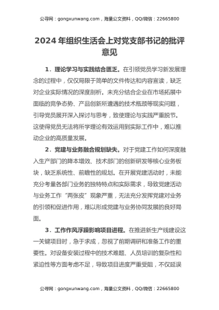2024年组织生活会上对党支部书记的批评意见