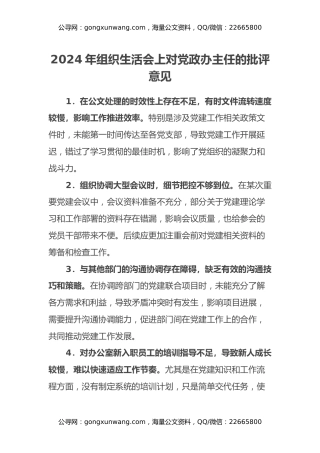 2024年组织生活会上对党政办主任的批评意见