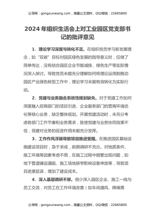 2024年组织生活会上对工业园区党支部书记的批评意见