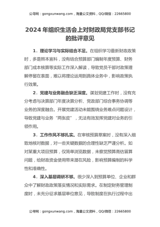 2024年组织生活会上对财政局党支部书记的批评意见