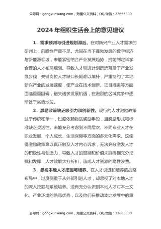 2024年组织生活会上的意见建议（2）