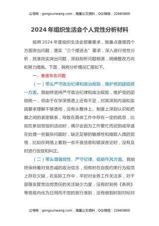 2024年组织生活会个人党性分析材料