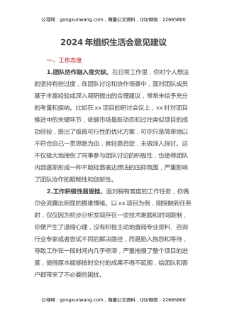 2024年组织生活会意见建议