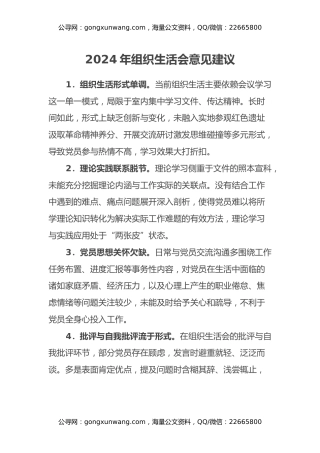 2024年组织生活会意见建议（2）