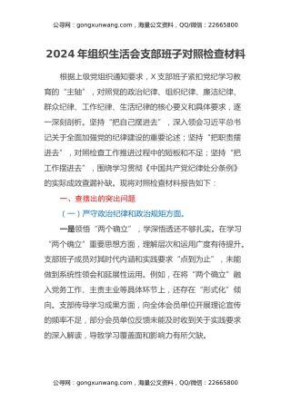 2024年组织生活会支部班子对照检查材料（五个方面）