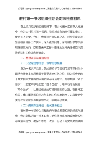 2025驻村第一书记组织生活会对照检查材料