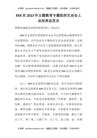 XXX在2023年主题教育专题组织生活会上总结表态发言