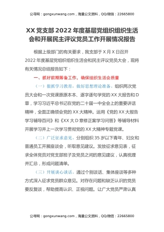XX党支部2022年度基层党组织组织生活会和开展民主评议党员工作开展情况报告