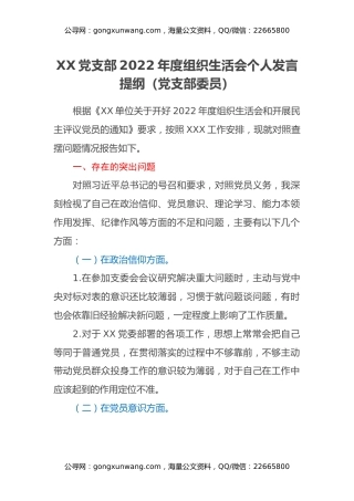 XX党支部2022年度组织生活会个人发言提纲（党支部委员）