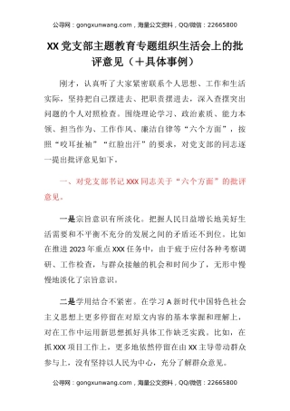 XX党支部主题教育专题组织生活会上的批评意见（＋具体事例）