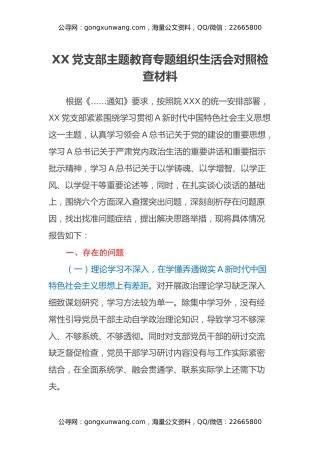 XX党支部主题教育专题组织生活会对照检查材料