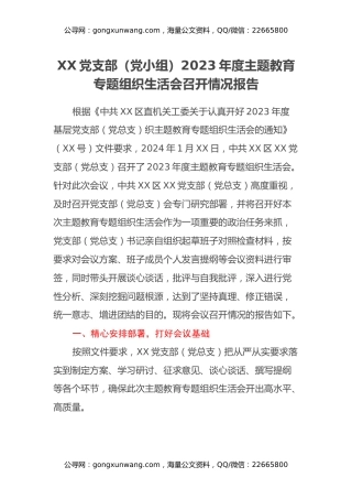 XX党支部（党小组）2023年度主题教育专题组织生活会召开情况报告